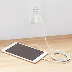 AmazonBasics Apple Certified Lightning to USB Cable - 6 Feet (1.8 Meters) - White